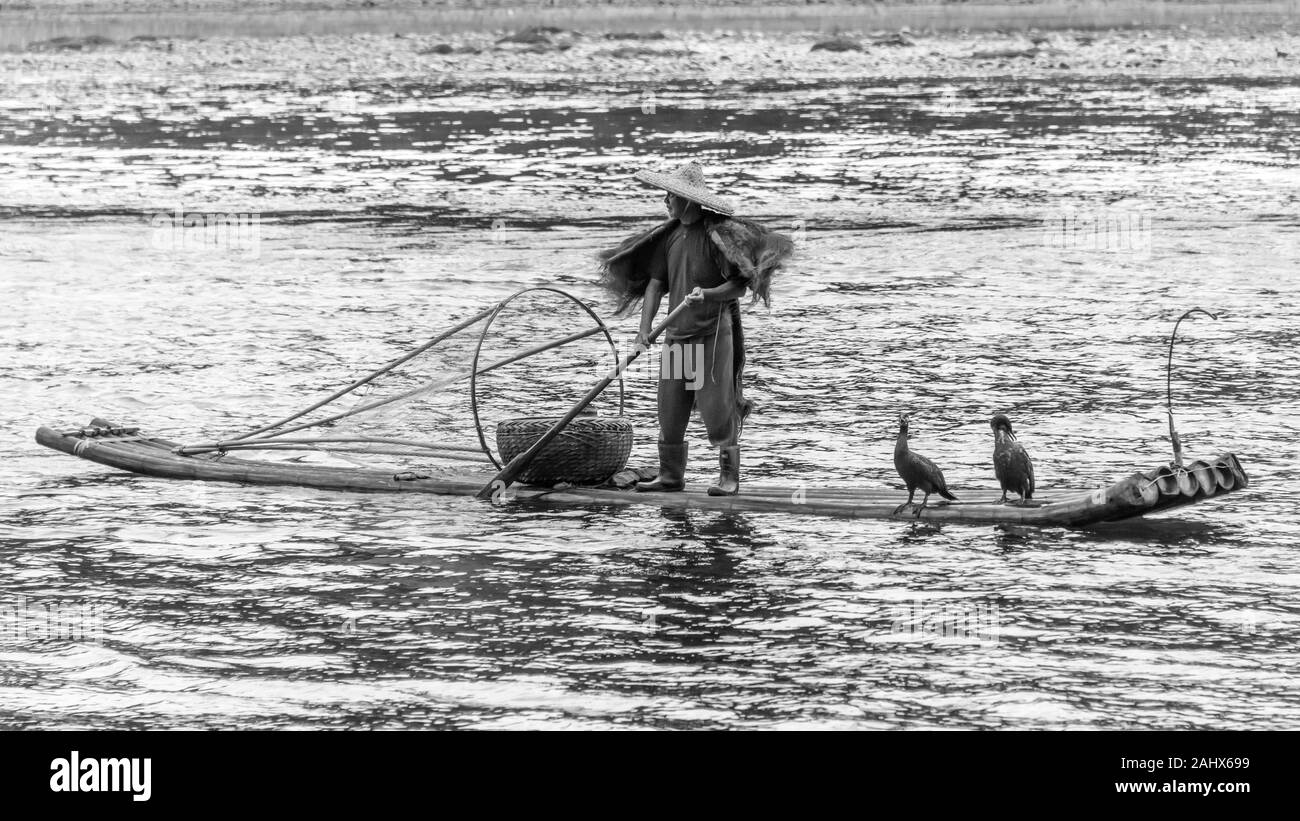 Pêcheur cormorant avec deux cormorans flottant sur la rivière Li près de Xingping, province de Guangxi, Chine Banque D'Images