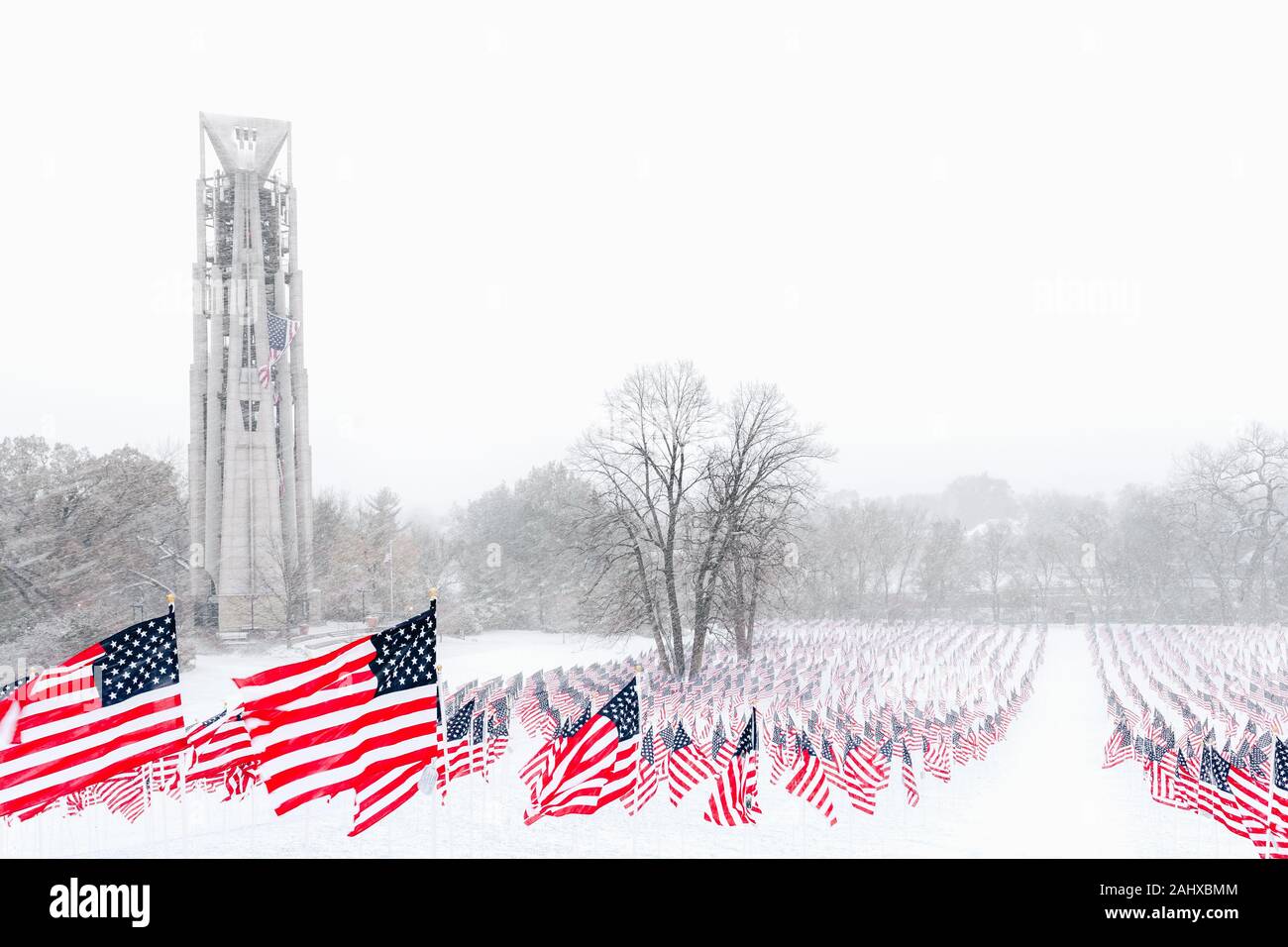Drapeaux américains dans une scène d'hiver Banque D'Images