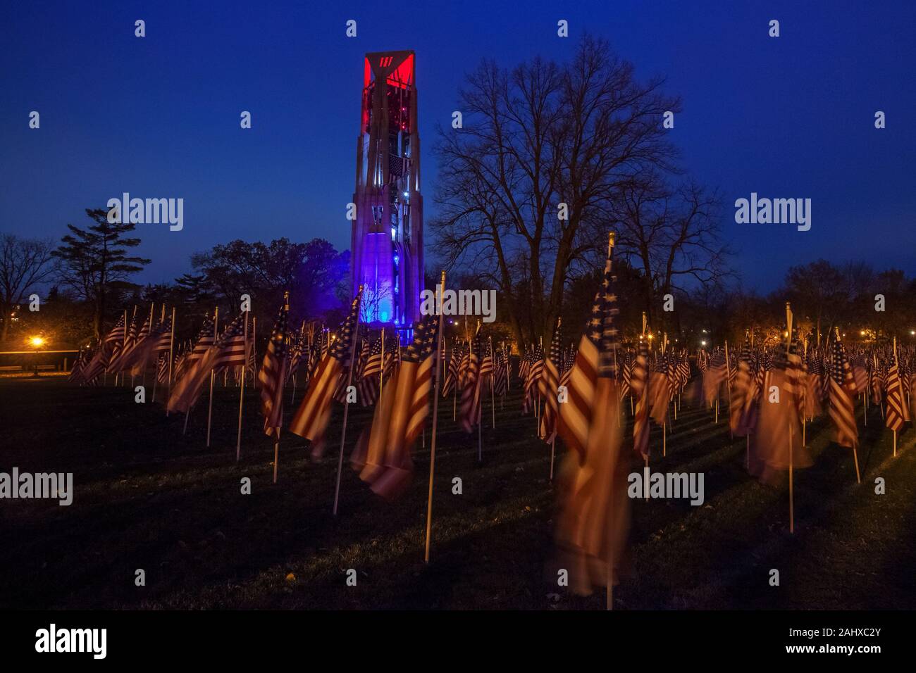 Drapeaux américains au crépuscule Banque D'Images