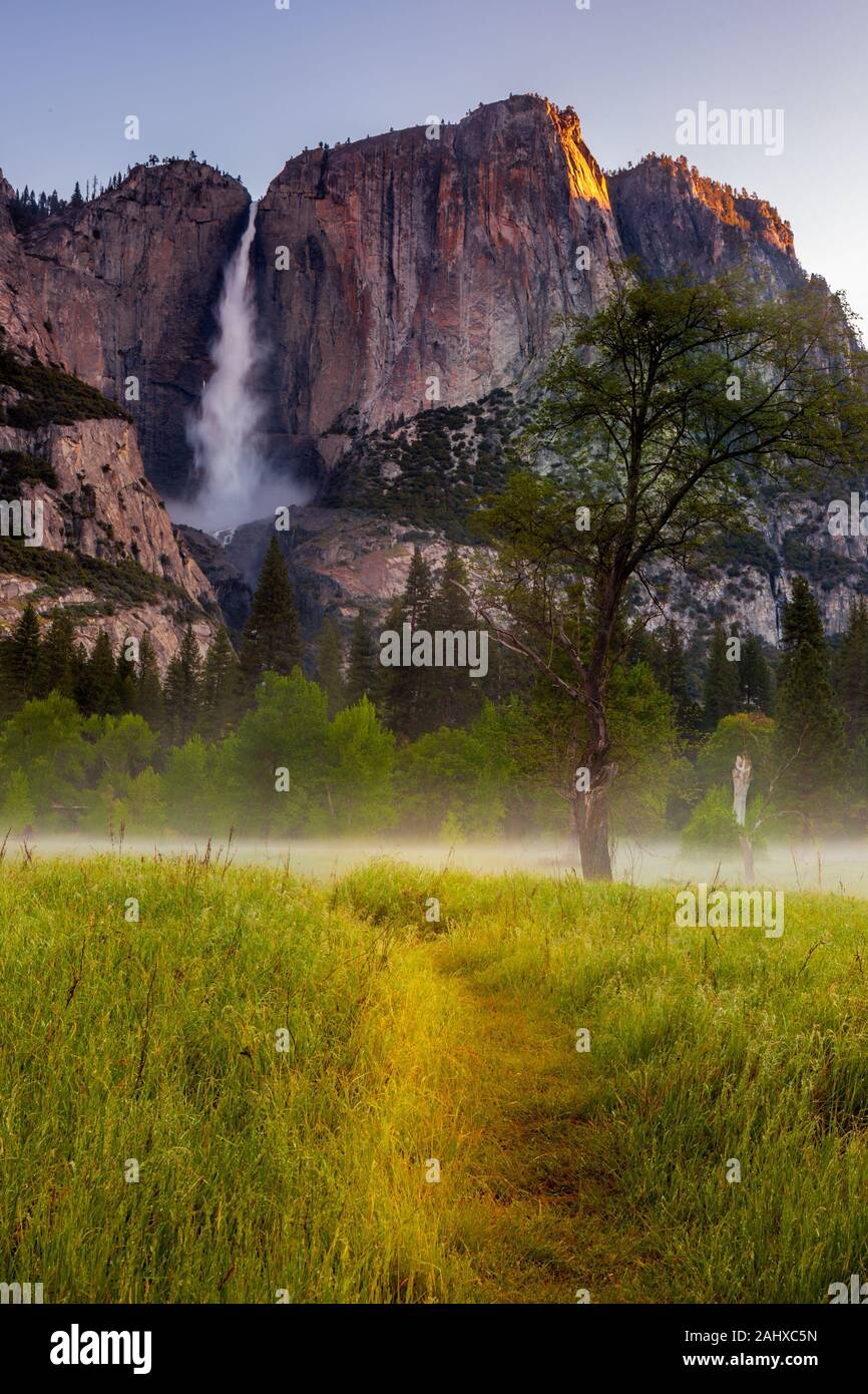 Pour Yosemite Falls chemin Banque D'Images