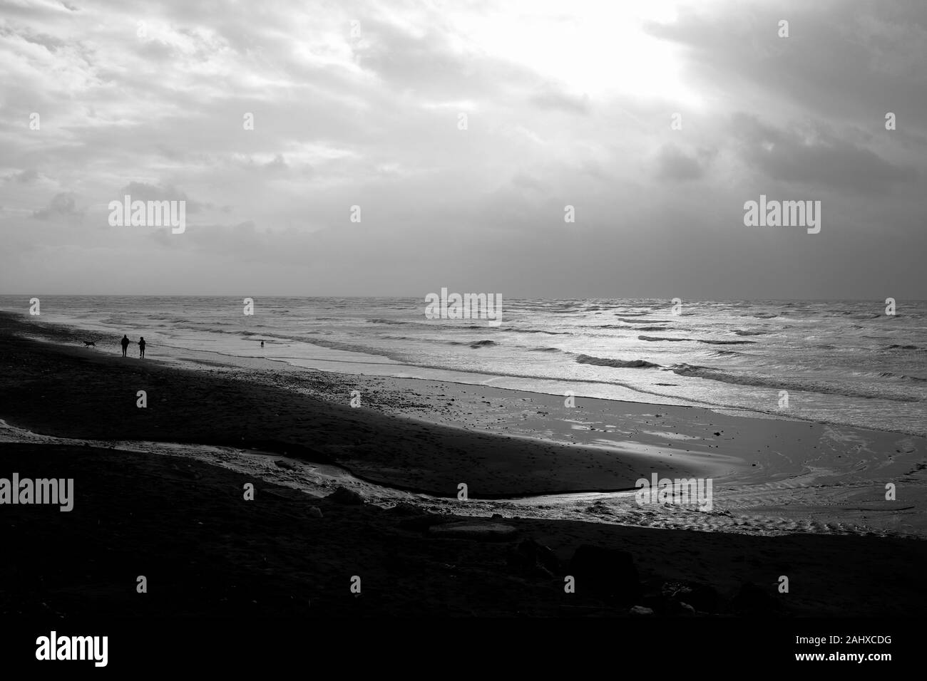 La marche des chiens à Brook Beach Compton Bay sur un hiver froid et venteux. Banque D'Images