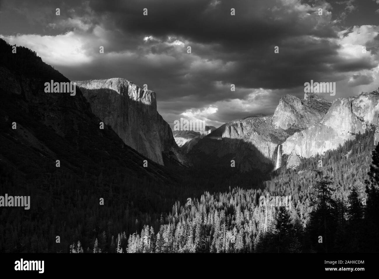 Vue de tunnel dans la région de Yosemite National Park Banque D'Images