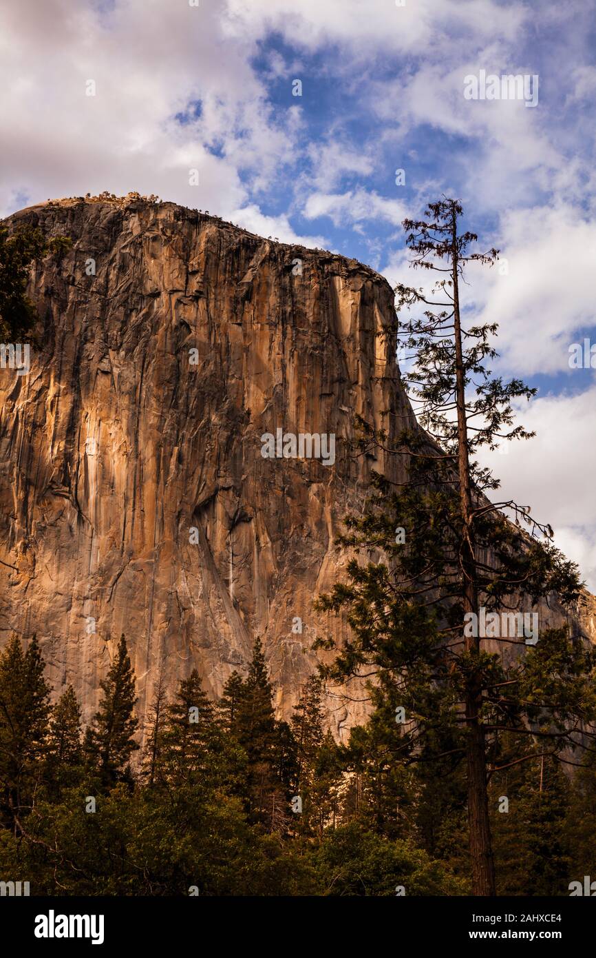 El Capitan dans le Parc National de Yosemite Banque D'Images