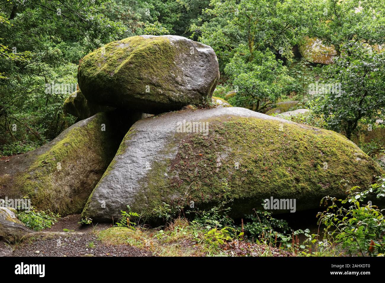 Le chaos de rochers ou le chaos de rochers - fouillis de centaines de grands blocs de forêt à Huelgoat, Bretagne, France Banque D'Images