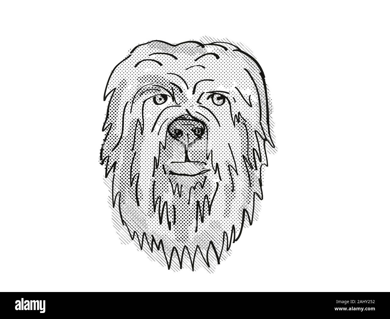 Tête de chien. dessin noir et blanc Banque de photographies et d’images