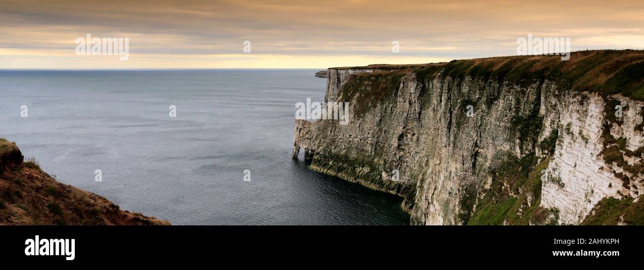 Vue sur les falaises de Bempton RSPB, village de Bempton, East Riding of Yorkshire, Angleterre, Royaume-Uni Banque D'Images