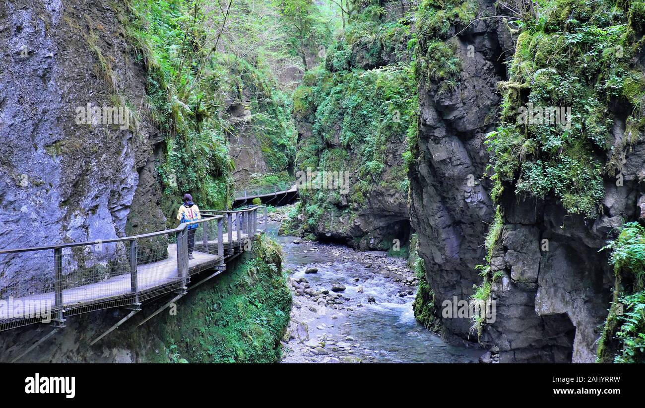 L'emplacement de l'Kakouetta (ou gorges Kakuetta) au Pays Basque (sud-ouest de la France). Le site sauvage est parfois surnommée la petite Amazonie Basque Banque D'Images