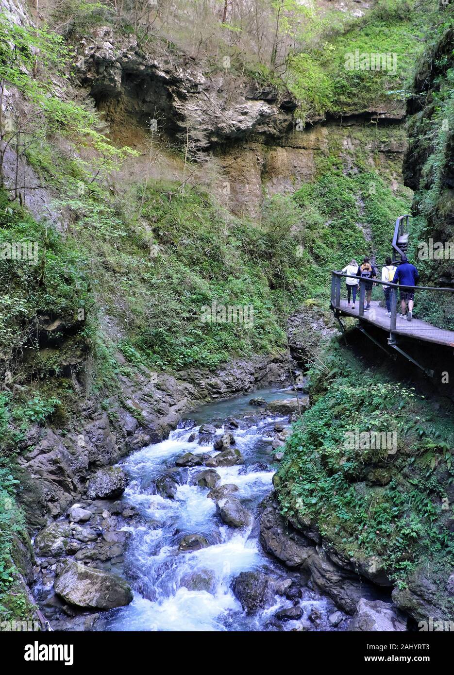L'emplacement de l'Kakouetta (ou gorges Kakuetta) au Pays Basque (sud-ouest de la France). Le site sauvage est parfois surnommée la petite Amazonie Basque Banque D'Images