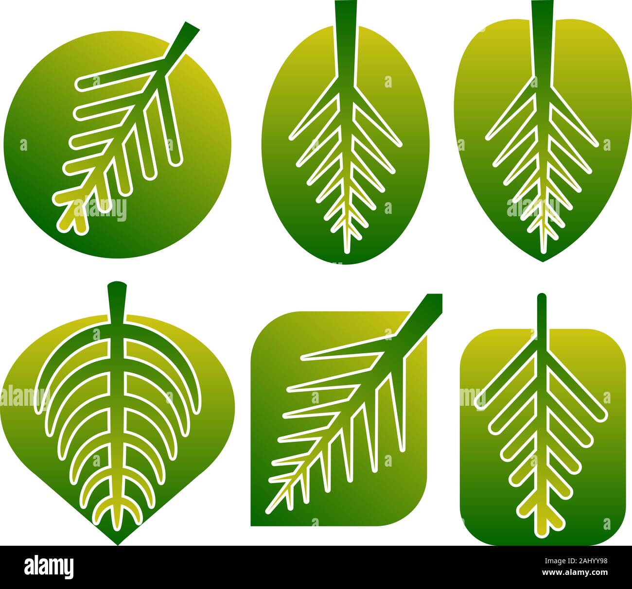 logo des différentes feuilles Banque D'Images