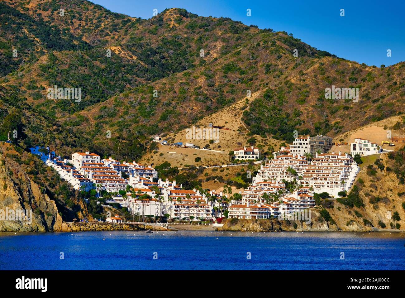 Développement du logement sur l'île de Catalina Banque D'Images