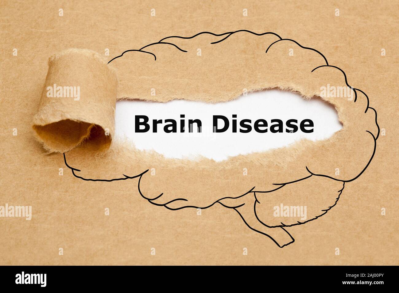 Maladies du cerveau texte apparaître derrière déchiré en papier brun dimensions du cerveau humain. Banque D'Images