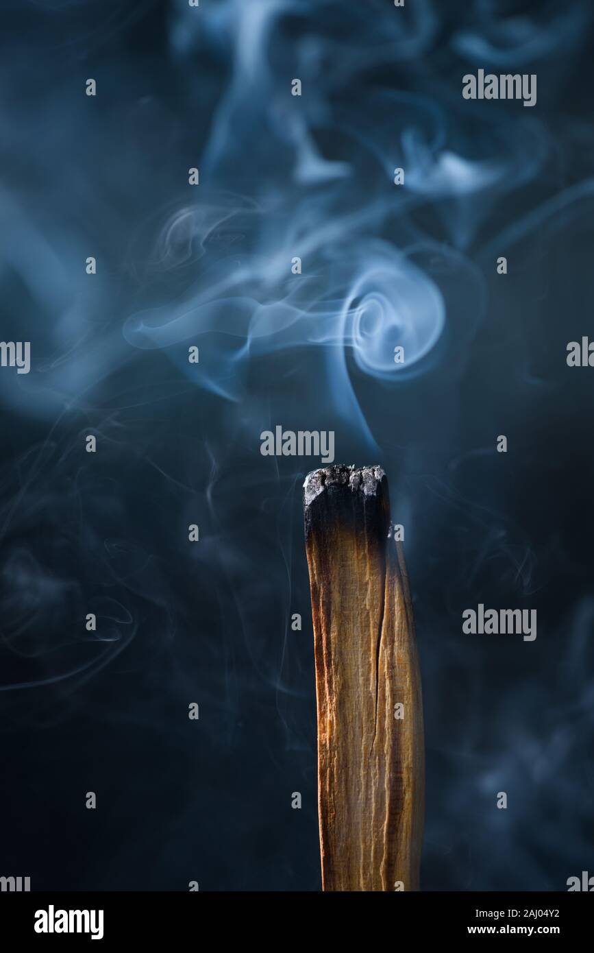 Palo Santo, arbre sacré stick burning Banque D'Images
