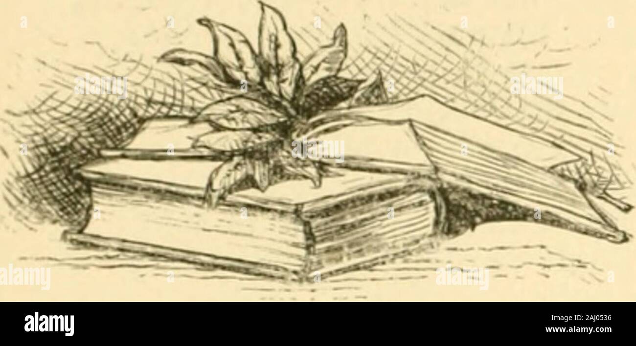 The Poetical Works of Sir Walter Scott, baronnet ; ed avec une révision du texte . Messenger à partir de heavenThat averti, dans Lithgow, roi d'Écosse,ni moins l'infernal convoquant;peut passer le moine de Durhams tale.dont le démon se sont battus dans gothique mail;pardon IMay plaider pour Fordun.grave qui lui a dit de Cliffords Goblin-Cave.Mais pourquoi ces cas à vous, 130 SCOTIAS Poetical Works. En un instant qui peuvent renewYour hordes précieux t)f divers h)re.Et furnisii vingt mille trésors ?plus tiieirs wiiose, pas comme vohinies Franchniont restLike trésors dans la poitrine,tout en ^encore refuseTo propriétaires d'ondulation Banque D'Images