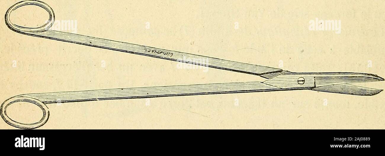 Arsenal de la chirurgie contemporaine : description, mode d'emploi, et appréciation des appareils et instruments internationaux en usage pour le diagnostic et le traitement des maladies chirurgicales, l'orthopédie, la prothése, les opérations simples, générales, spéciales et obstétricales . doit présenter des diffi-cultés dimmenses, même quand le bassin est assez large pour permettre de diriger lascie avec la main. Si îe bassin rétréci au-dessous de 55 millimètres ne par-met plus lintroduction de la main, le diviseur nest plus, le cas échéant, carlemploi du porte-fil est dangereux ; son auteur lui-même a déterminé un Banque D'Images