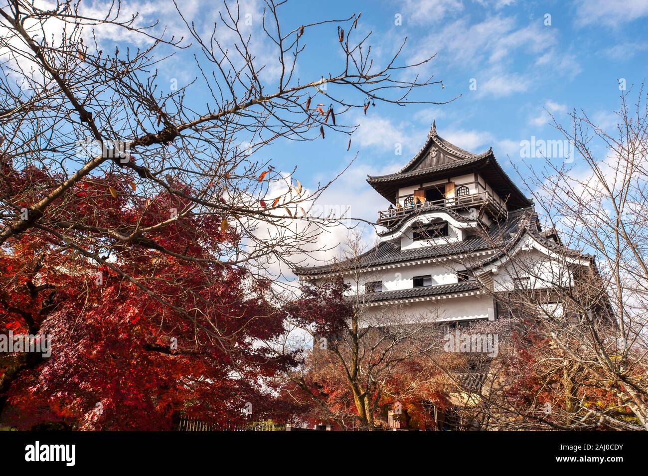 INUYAMA, JAPON - 24 NOVEMBRE 2016 - feuilles rouges au château d'Inuyama, préfecture d'Aichi, Japon. Inuyama est l'un des douze châteaux originaux du Japon. Banque D'Images