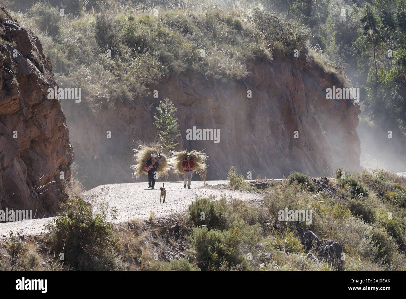 Deux personnes transportant du foin, Andes, Pérou Banque D'Images