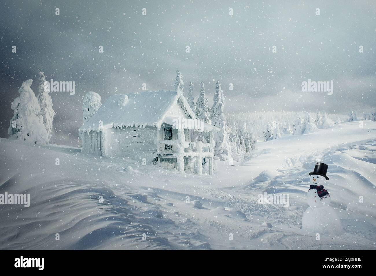 Lonely Christmas Illustration Banque D Image Et Photos Alamy Lonely Christmas Illustration Banque D Image Et Photos Alamy