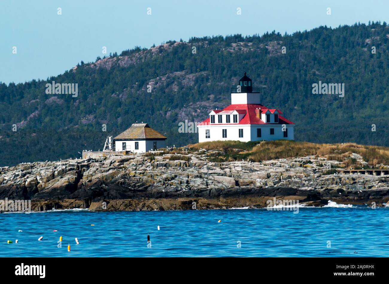 Egg rock Lighthouse dans le Maine avec mouettes debout sur les rochers et l'Acadia National Parks Cadillac Mountain derrière elle sur un après-midi d'été. Banque D'Images