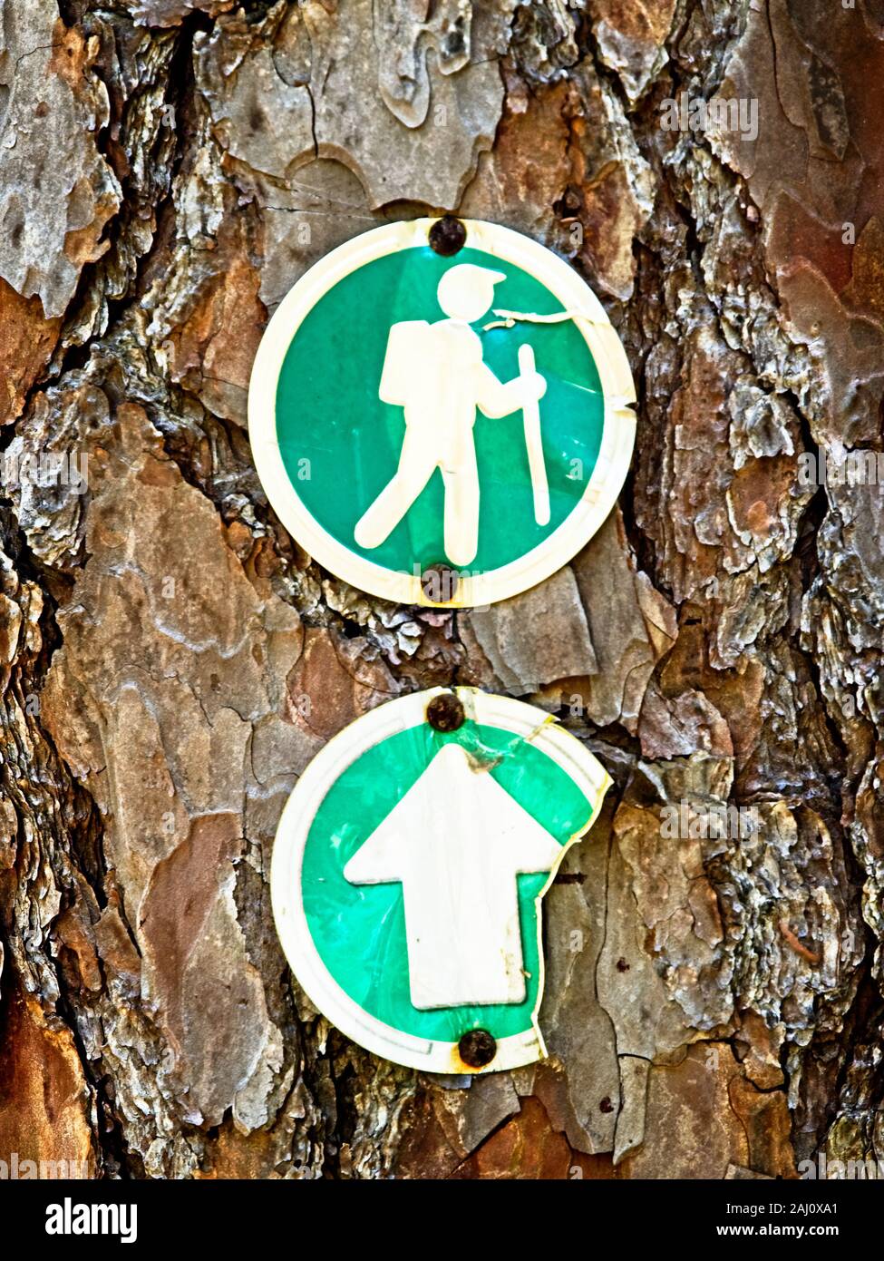 Panneaux de sentier de randonnée sur un arbre Banque D'Images