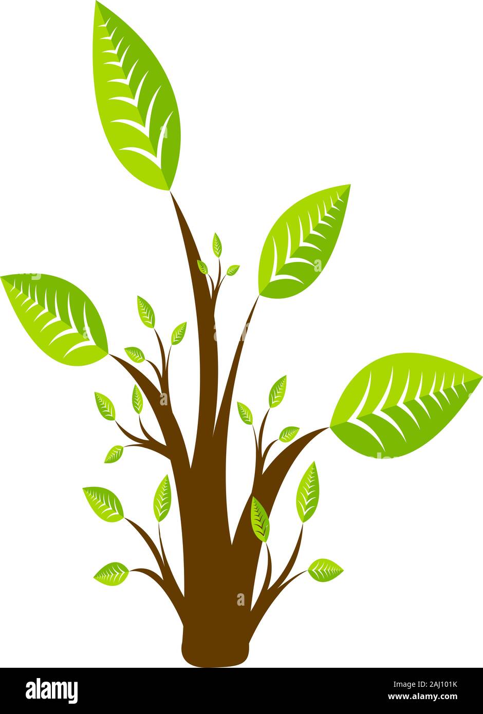 logo de l’arbre Banque D'Images