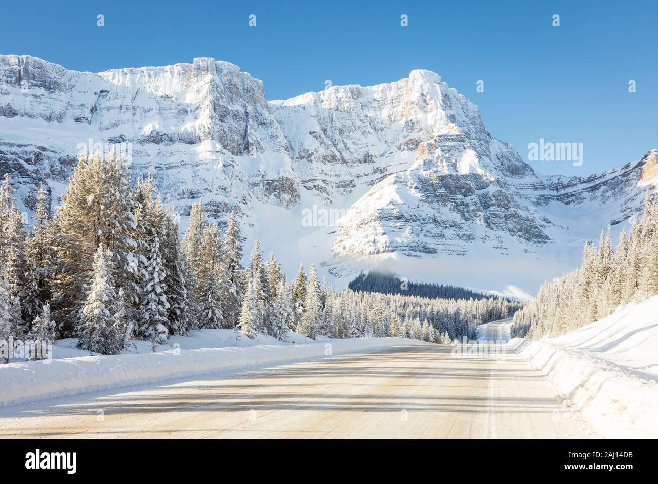 Les chutes de neige fraîche et de la mi-hiver du soleil sur la promenade des Glaciers, l'autoroute 93, Banff National Park, Alberta, Canada. Banque D'Images
