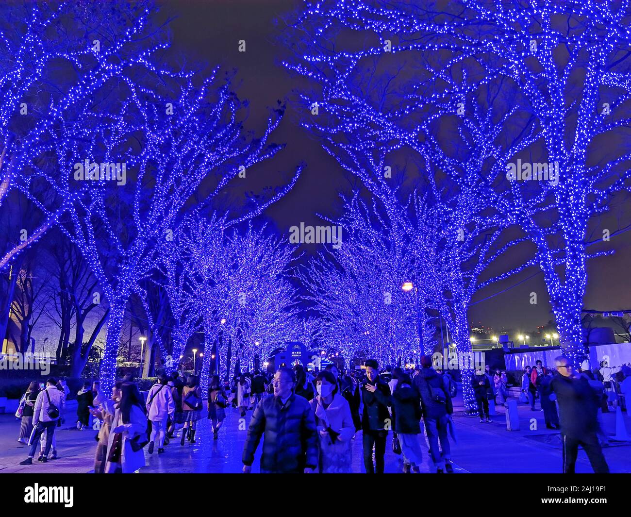 Grotte bleue, Shibuya, Tokyo ILLUMINATIONS Banque D'Images