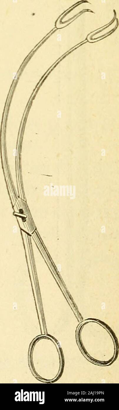 Arsenal de la chirurgie contemporaine : description, mode d'emploi, et appréciation des appareils et instruments internationaux en usage pour le diagnostic et le traitement des maladies chirurgicales, l'orthopédie, la prothése, les opérations simples, générales, spéciales et obstétricales . fie. 4697.- pince de Museux, à six griffes. FlG. 1698. - Pince-érigne courbe de Museux. pinces de Museux doivent avoir une courbure accommodée à la Directiongénérale du bassin (fig. 1698). Chassaignac conseille lemploi dune pince érigne, dont les br pouces 952 instruments. courbes et terminées par trois fortes dents, sont Banque D'Images