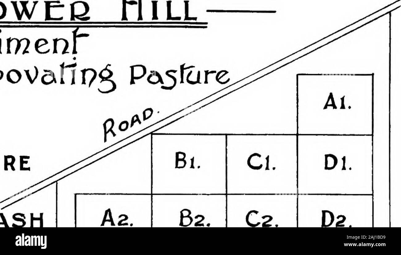 Guide d'expériences en cours à la ferme de démonstration du comté, Cockle Park, près de Morpeth (1903 Saison . 5 700 398 700 0 9 0 1 0 7i l'herbe d'avoine d'or i4 262 500 0 ]0i i4 262 500 0 106 800 lOi redclover vivaces j 0 6 2 2 427 300 0 351 800 trèfle Alsike ... j 0 7 1 703 600 1 2 Le trèfle blanc ... 64 304 200 7 0 vesce Rein ... 5 945 700 5 367 200 0 8 3 0 Burnett Chicorée... 3 854 200 6 789 500 0 l'Achillée ... j 1 3 12 9 912 100 13 8i 24i 9 236 800 24 0 Les parcelles n'ont pas été fauchées pour 1902, comme l'herbe était notabundant, et il a été jugé souhaitable de le quitter pour la protection des jeunes plants Banque D'Images