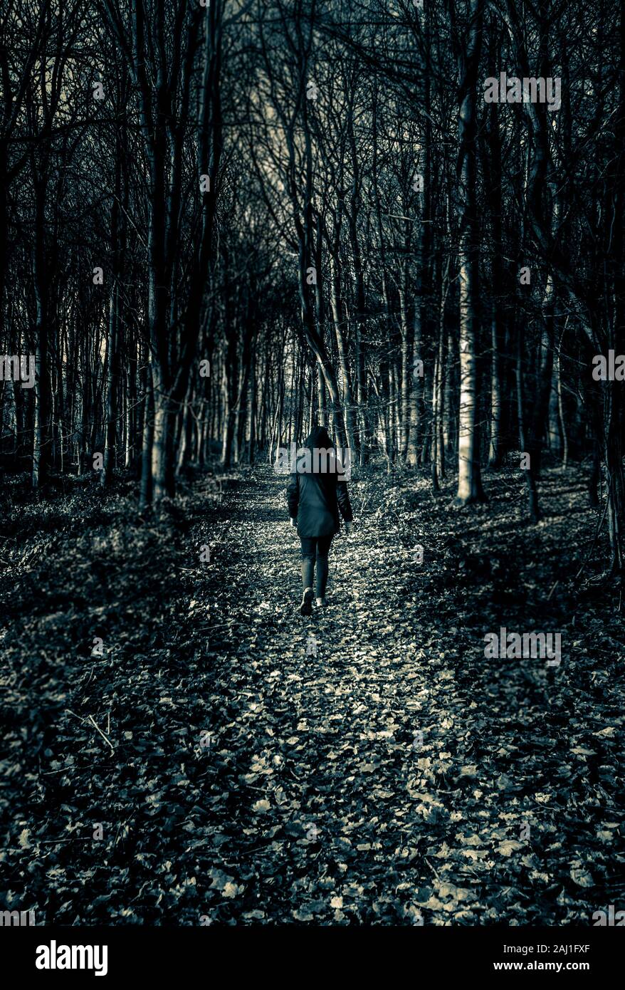 Figure solitaire marcher le long du chemin dans la forêt Banque D'Images