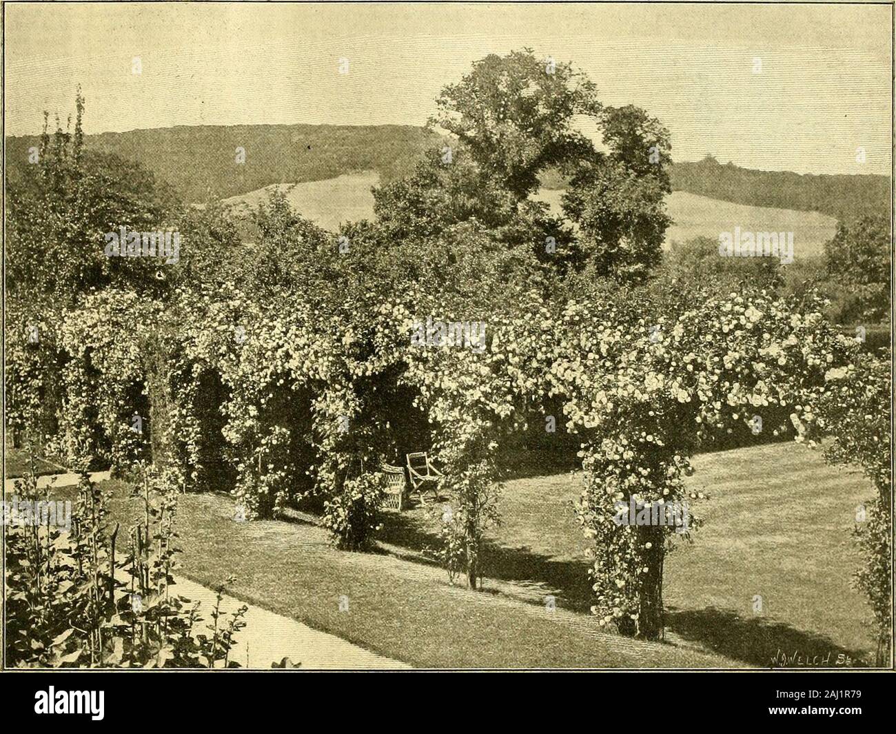 L'Gardeners' chronicle : un journal illustré hebdomadaire de l'horticulture et les sujets . bium est fleurissante MILTON COUR, Surrey. [Voir illustration supplémentaire.] c'est l'un des plus grands plaisirs de la vie tovisit tout jardin digne de ce nom, mais il y a dans l'une rafraîchissante exceptionnellement issomething que isa de réflexion les goûts et préférences des anenthusiastic et reconnaissant propriétaire. Dans les jardins, de manière générale, il est considerablesimilarity ; beaucoup sont presque semblables pour d'autres comme possible, ce qui permet de les différences au niveau des con-ditions. En raison d'un manque de connaissances et d'éléments de preuve de la ca Banque D'Images