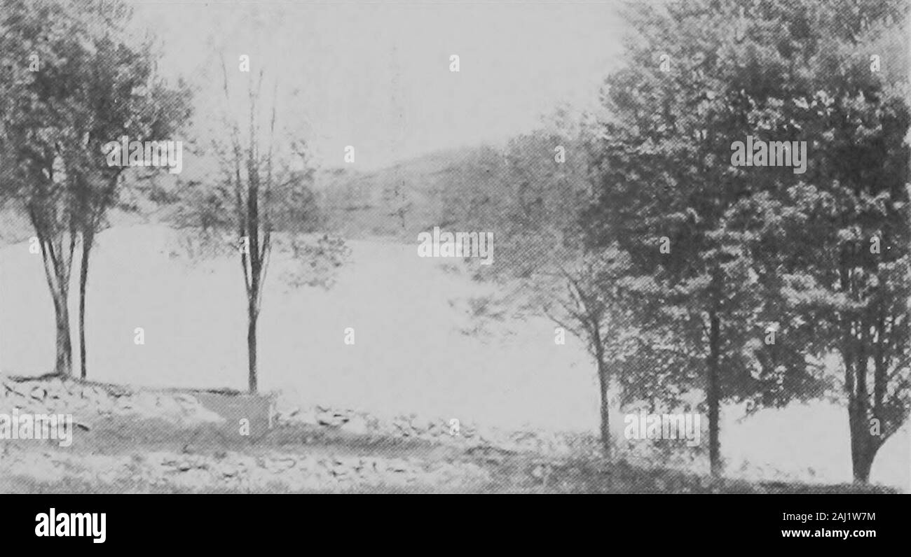 Chansons de la nature . Deux vues de la Trinity Lake Nature 125 chansons de fidélité lorsque ce monde bébé emmailloté dans sa bande de brume et nuage et storm,pris ses formes de la mer et la terre, et les lacs et cours d'eau nés;dans ce monde occidental, sur sa rive orientale, quatre lieues d'un pays sans accès à la mer, est venu un liquide couronne sertie de bijoux, mais dans quatre seulement trois de l'Union européenne;pour le northern gem est un solitaire et interdits de l'threeBy moins un mur de marbre fort et juste forgé par la main de la Divinité. Un fil d'argent à partir de la trinité s'étend vers le sud à travers le woodTill il jette lui-même dans la terre-Locke Banque D'Images