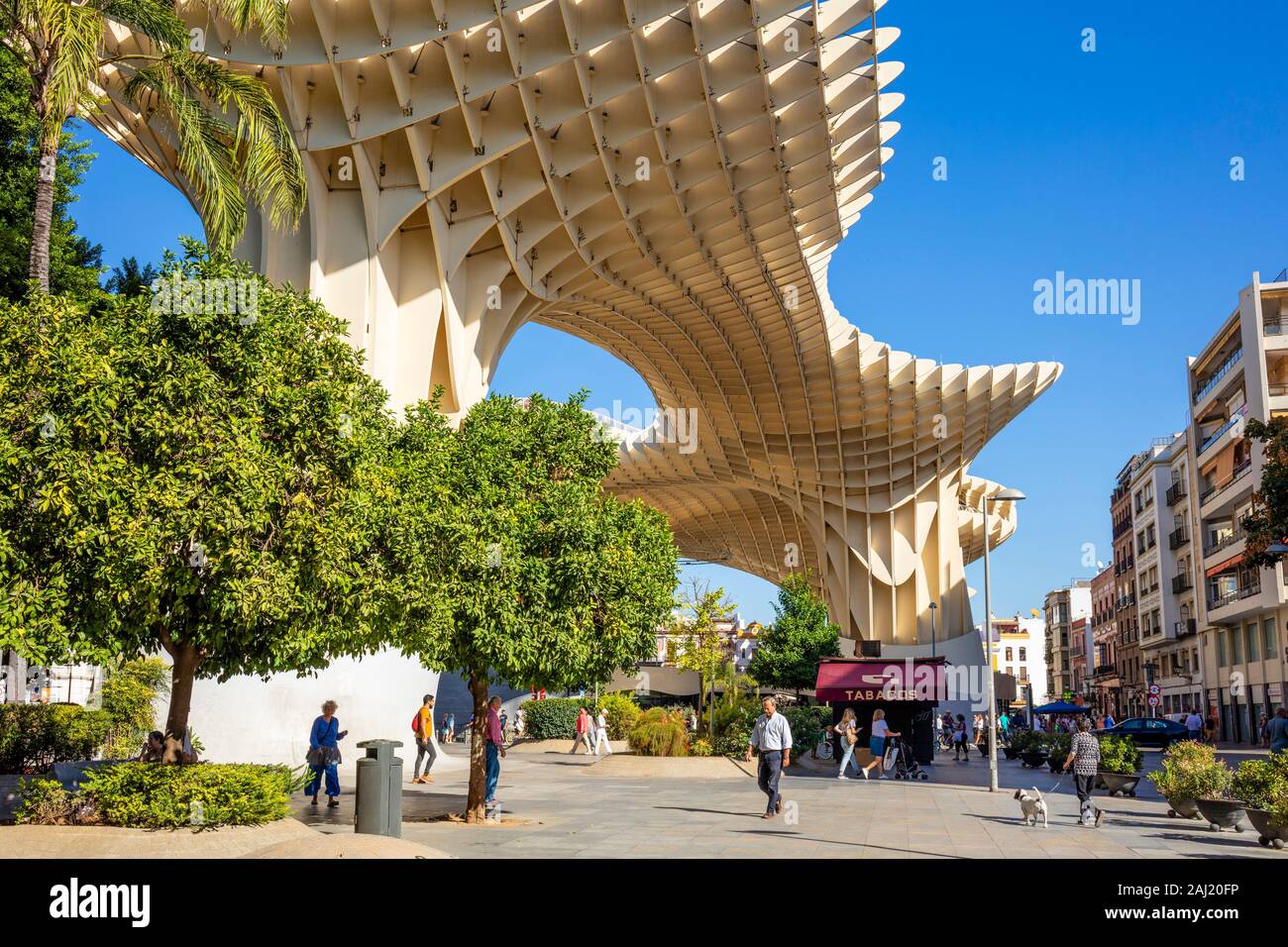 Le Metropol Parasol de Séville (Sevilla) Champignons (Las Setas de Sevilla), Plaza de la Encarnacion, Séville, Espagne, Andalousie, Espagne, Europe Banque D'Images