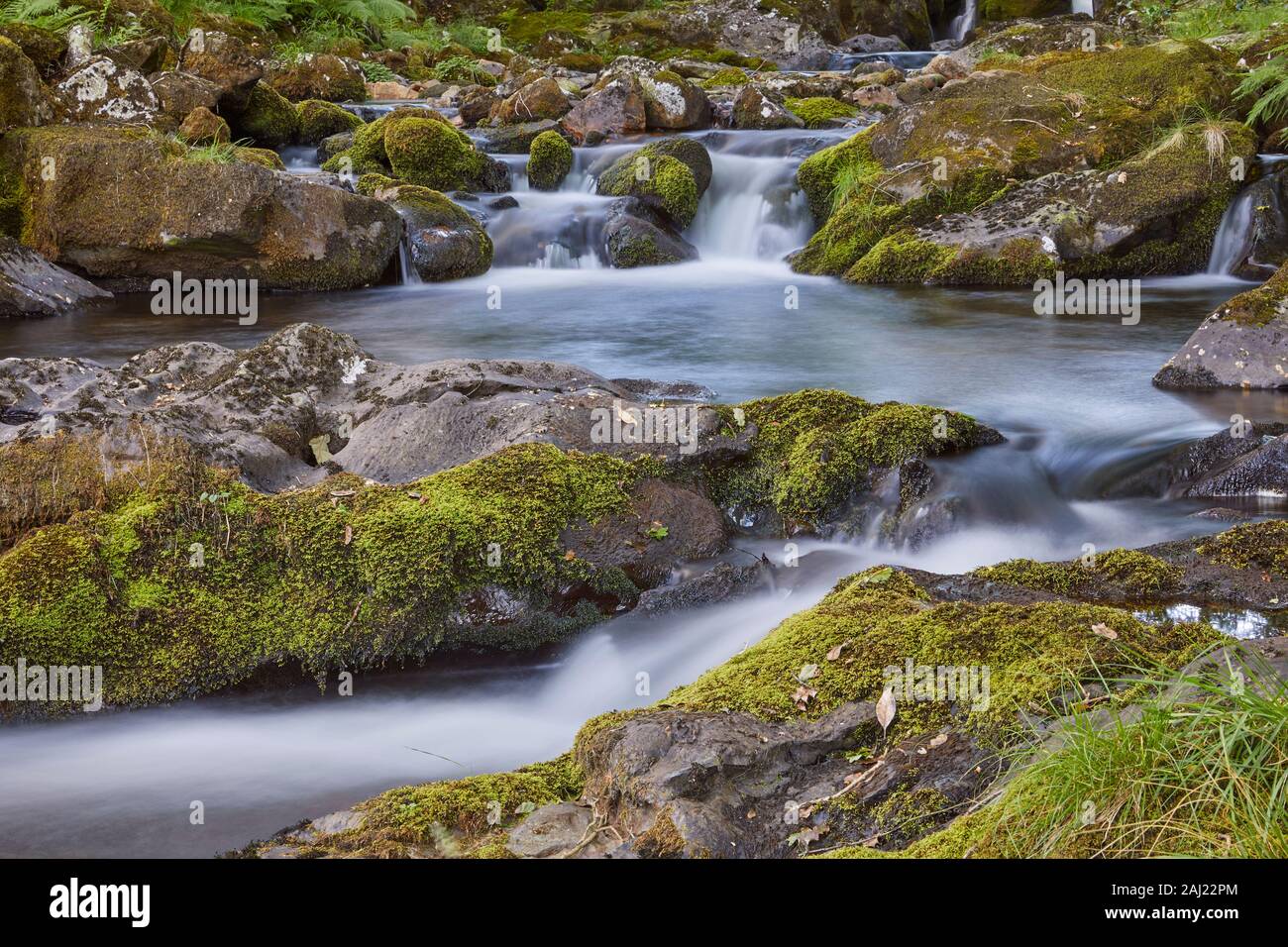 Un cours d'eau forestiers, l'Est, la rivière Okement provenant des pentes nord du Parc National de Dartmoor, près de Okehampton, Devon, Angleterre, Royaume-Uni Banque D'Images