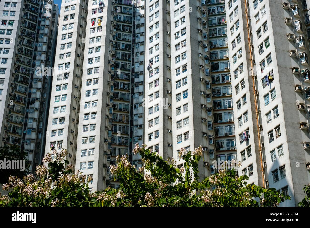 La façade de l'immeuble résidentiel, l'immobilier, de l'extérieur Banque D'Images