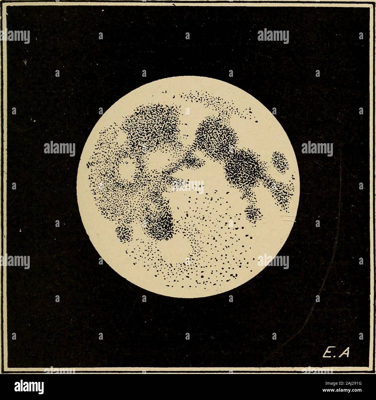 Pour les amateurs dastronomie . Fig. 65.-La lune vue à loeil nu. Sardou (Fig. 67) bild