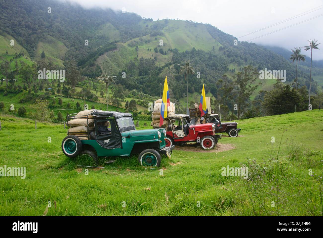 Vintage Willy jeeps sous les palmiers de cire, de la vallée de Cocora, Salento, Colombie Banque D'Images