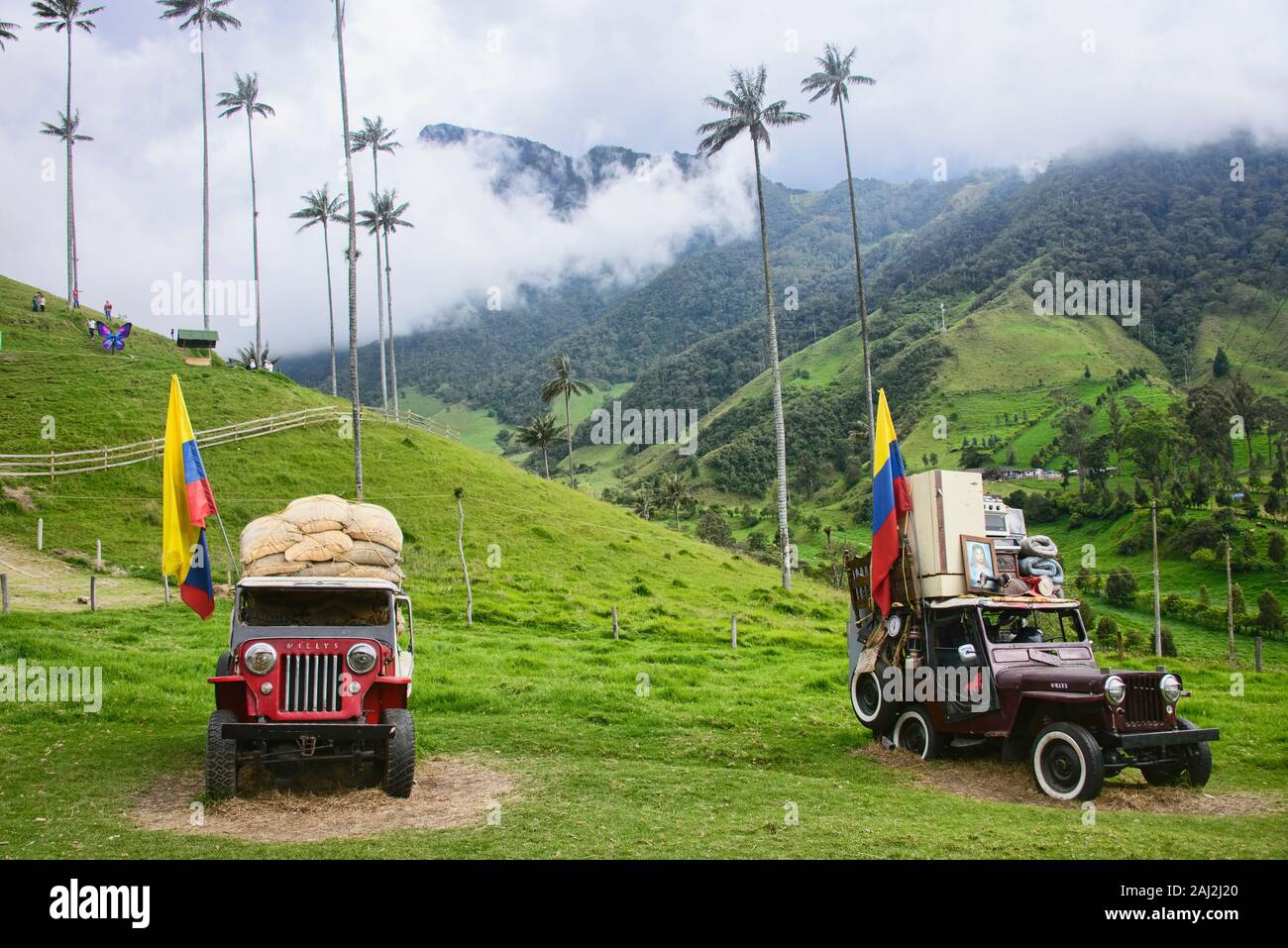 Vintage Willy jeeps sous les palmiers de cire, de la vallée de Cocora, Salento, Colombie Banque D'Images
