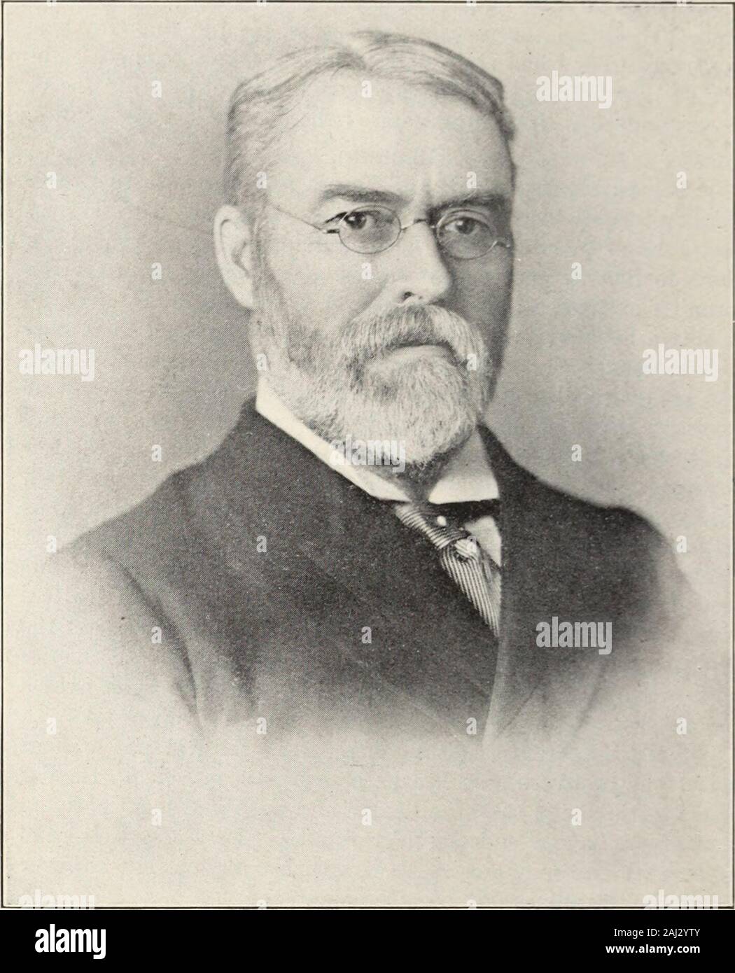 La Société de la Rose Annuelle de l'Ontario -- 1914 . thout briser. Une fois qu'ils sont tieddown, laissez-les jusqu'à ce que les nouvelles pousses apparaissent sur theshoots près de la base. Puis prendre un couteau bien aiguisé, couper le tiesand à élaguer les tiges à la longueur désirée. Réduire astrong tirer pour deux ou trois yeux, plus faibles à un ou deux. Très important, c'est'ébourgeonnage. Prenez par exemple une shootwith quatre ou cinq sauts forte ou excroissances, disons cinq. Reducethese à trois et effacer toutes les petites pousses, faiblement et retainingas beaucoup comme ont tendance à croître. La propreté est essentiel de succès, et peut être secur Banque D'Images