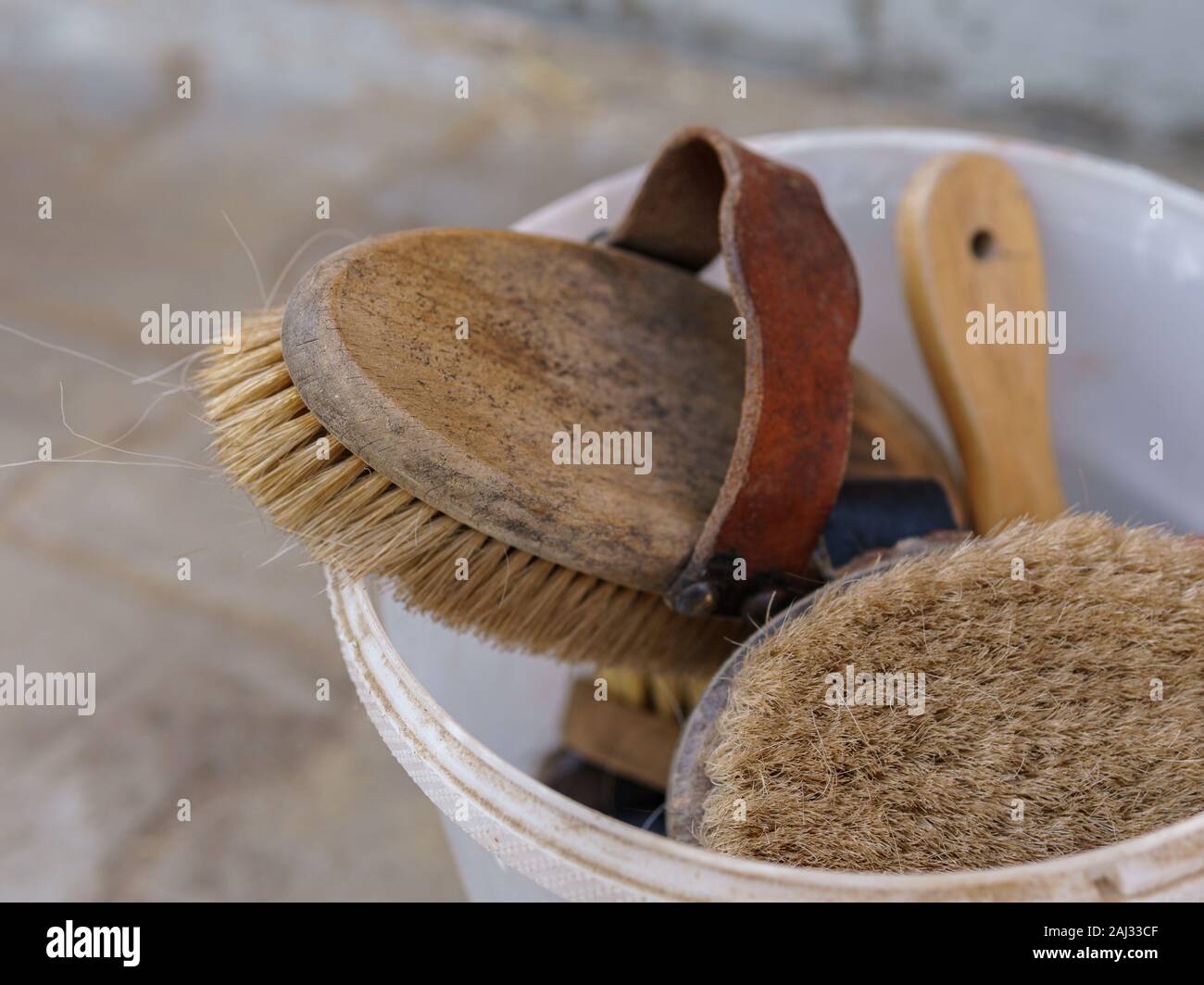 Nettoyage des pinceaux pour le cheval. Soins aux chevaux. Le toilettage de chevaux Banque D'Images