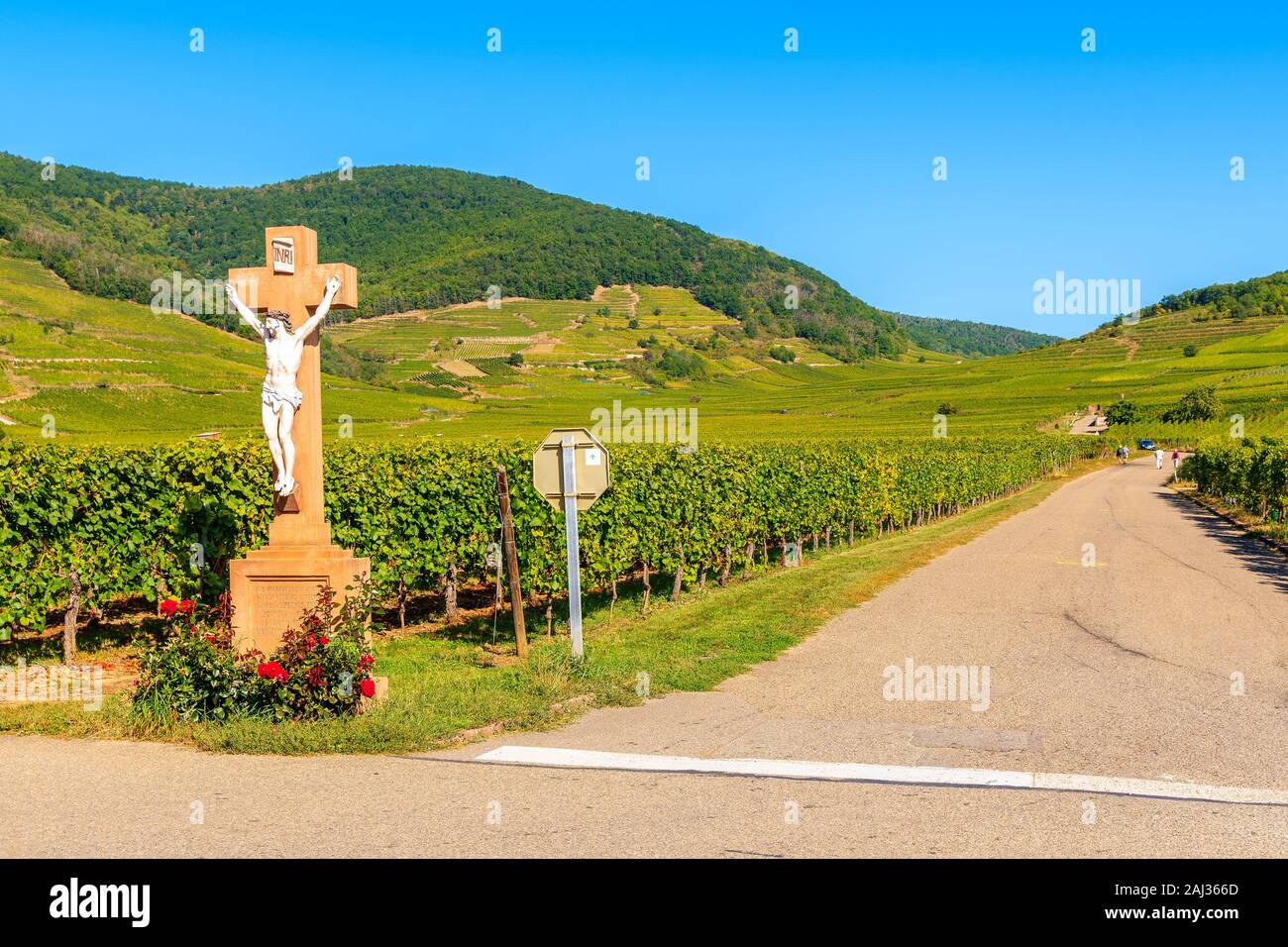Jésus Christ statue en bois sur le cyclisme sur route le long de vignes à Kaysersberg village, Alsace, France Banque D'Images