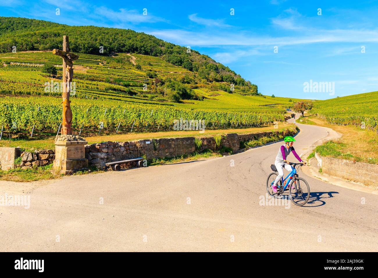 Jeune femme à vélo sur route le long de vignes à Kaysersberg village, Alsace, France Banque D'Images