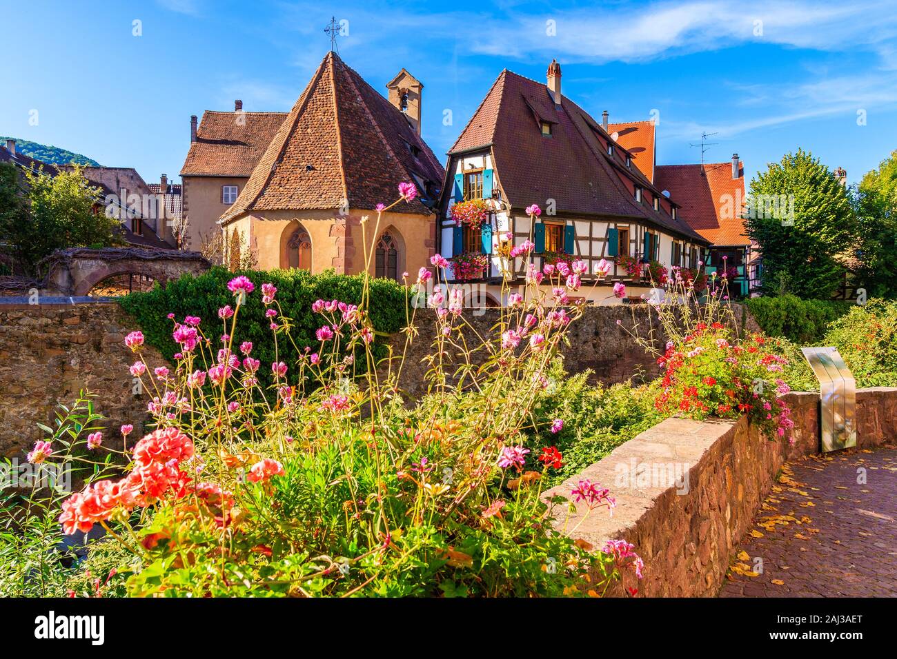 Belle maisons colorées ornées de fleurs dans le pittoresque village de Kaysersberg, Alsace, France Banque D'Images