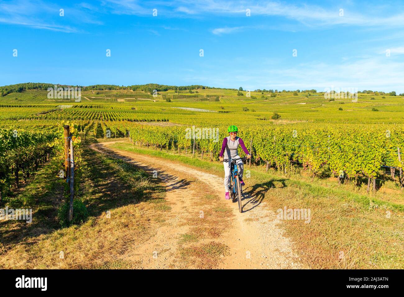 Jeune femme à vélo sur route le long des Vignes de Riquewihr à Kaysersberg village, Alsace, France Banque D'Images