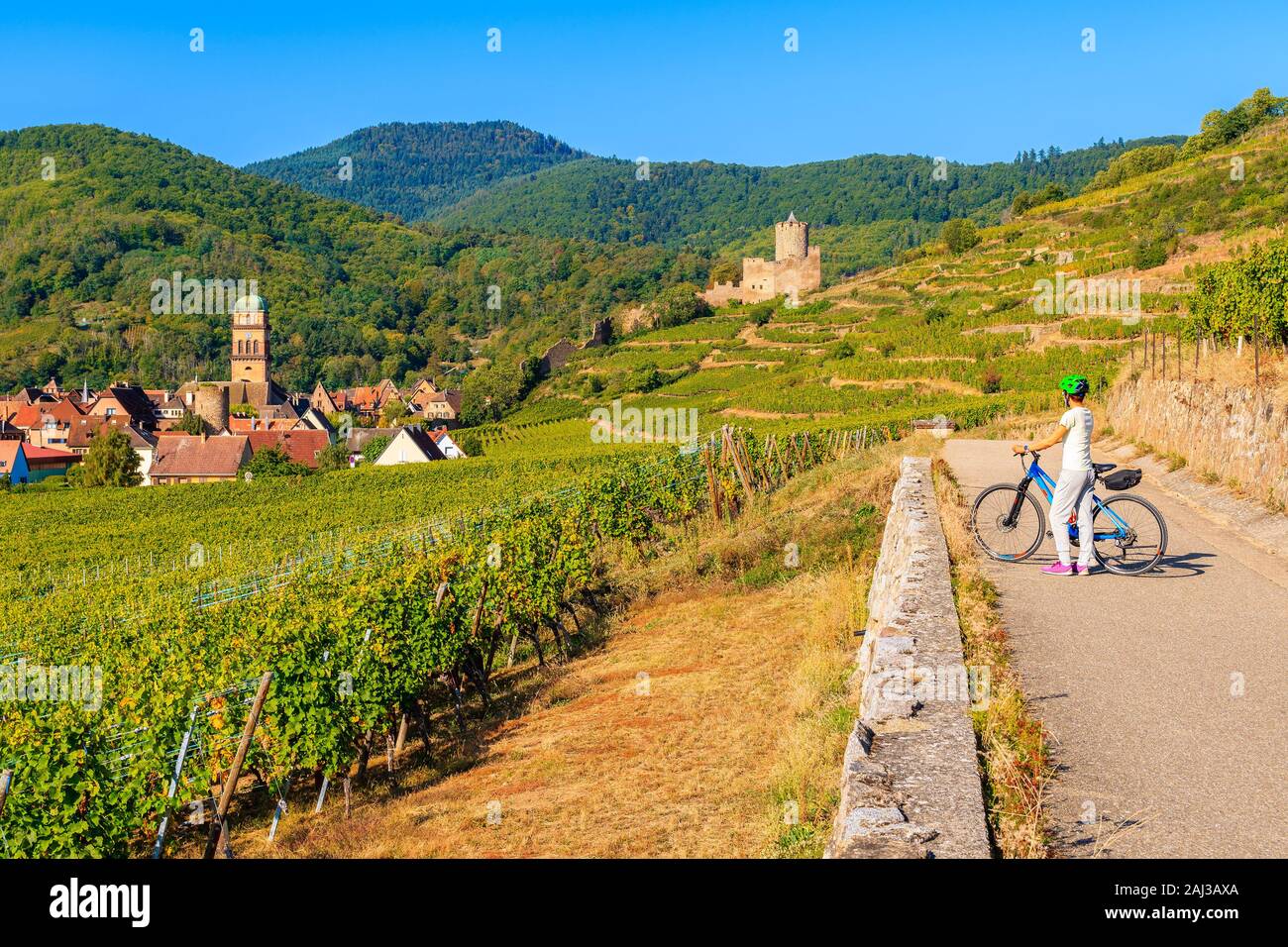 Jeune femme à vélo sur route le long des Vignes de Riquewihr à Kaysersberg village, Alsace, France Banque D'Images