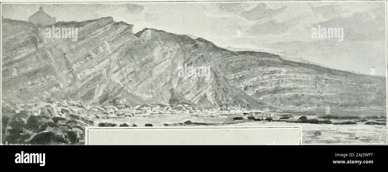 Album géographique : La France . de notreexpansion doutre-mer et dune meilleure solidarité établie entre nos colonies et lintérieurde la France. Aujourdhui, quelle que soit la prospérité de quelques-uns de nos ports, nous navons passur mer la place à laquelle nous donnent droit situation lheureuse de nos côtes françaises, etle nombre des autres rivages du lointain qui sont ou devraient être français comme le nôtre;nos ports restent et deviennent très actifs, mais plus encore du fait de létranger que par lafréquentation de notre pavillon. Notre marine marchande sest arrêtée dans son essor, tandi Banque D'Images