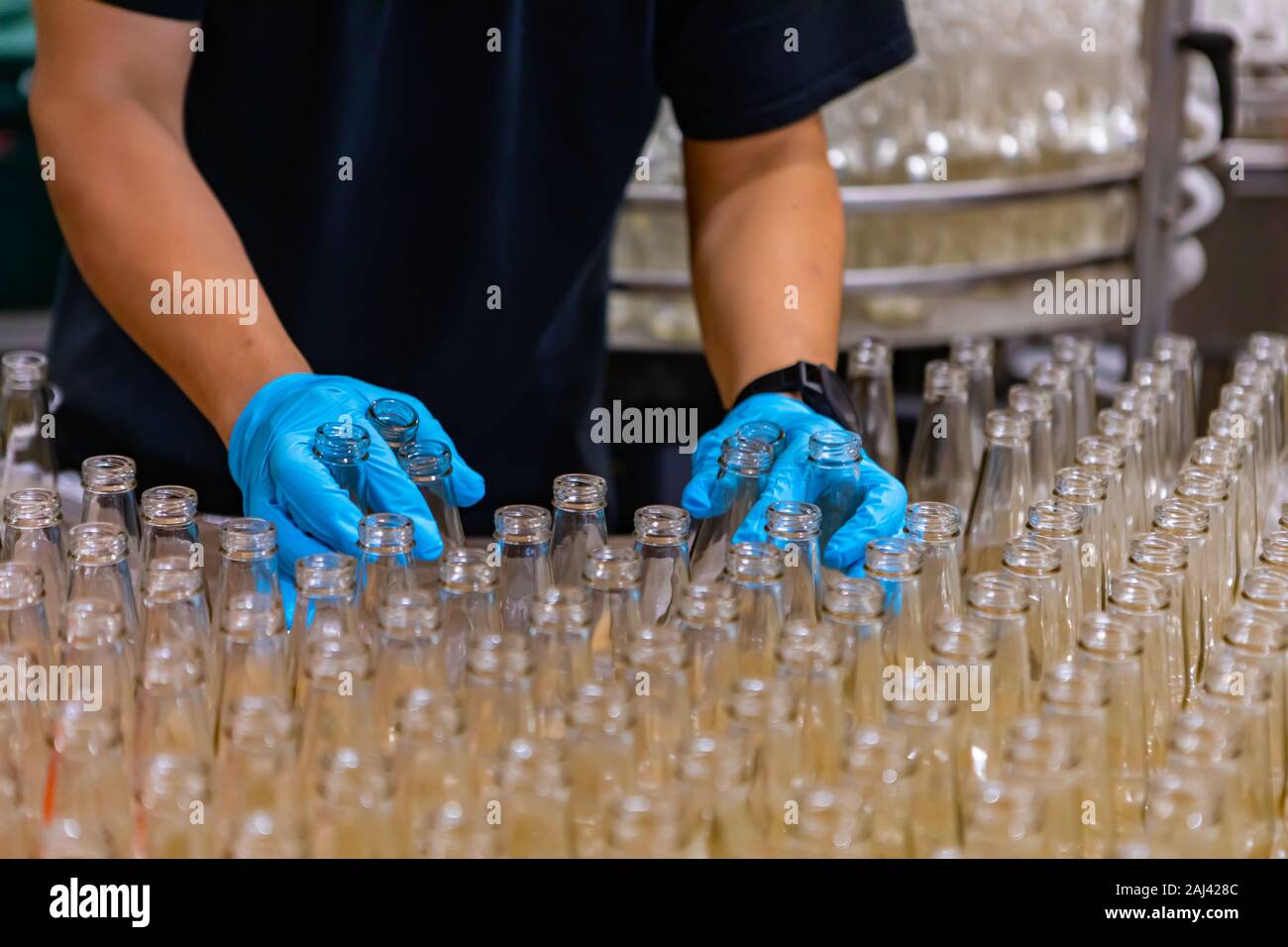 Beaucoup de nouvelle bière bouteille vide en verre blanc, personne mains avec gant en caoutchouc bleu holding bouteilles, selective focus, Craft Brewery microbrasserie en usine Banque D'Images