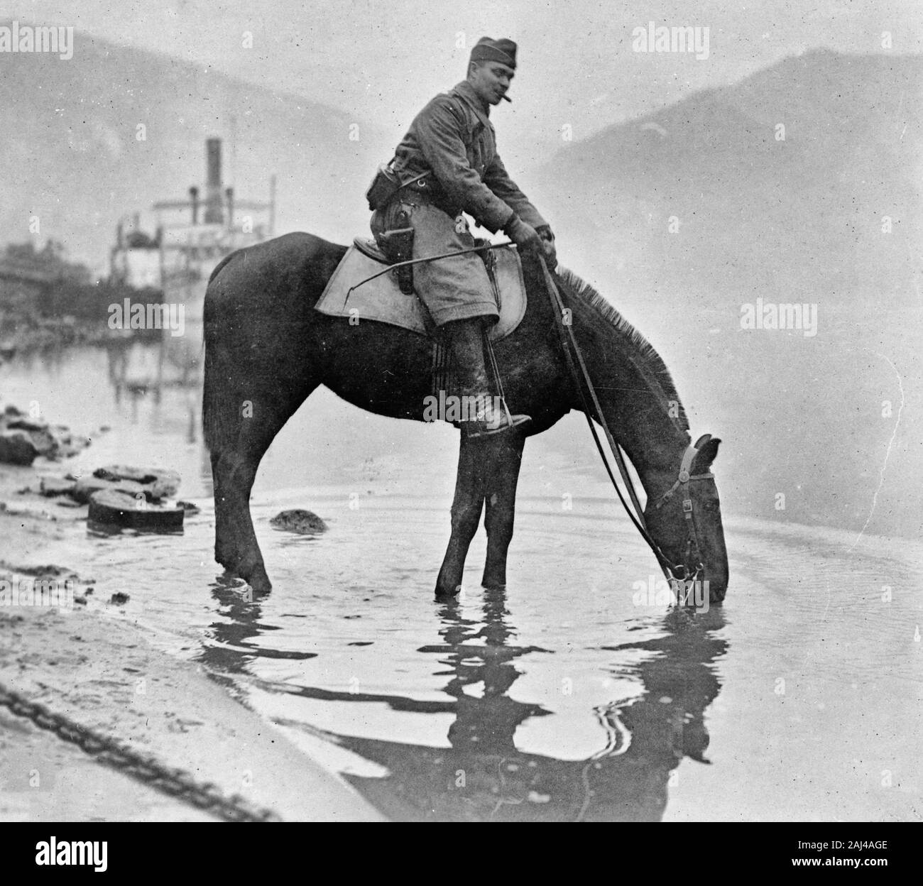 First American horse à boire de Rhin. L'Allemagne. Un endroit potable sur les rives du Rhin. 10 décembre 1918 Banque D'Images