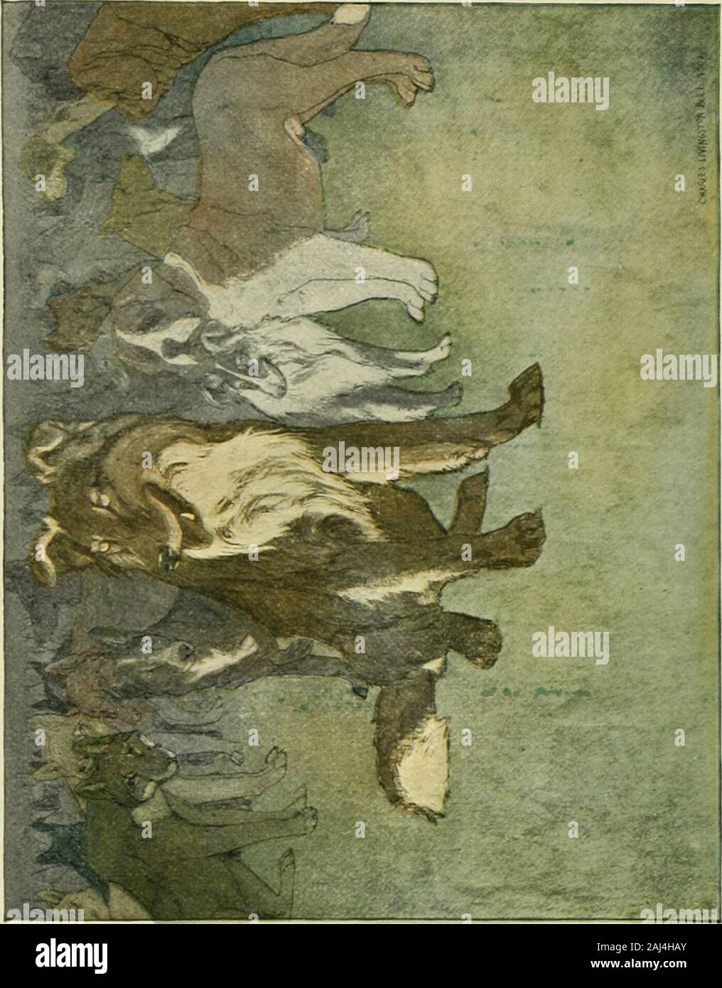 L Appel De La Nature R Ses Os Necessaires Ils Etaient Tous De Repos Buck John Thornton Et Skeet Et Nig Waitingfor Le Radeau A Venir Qui Etait De Faire Themdown A