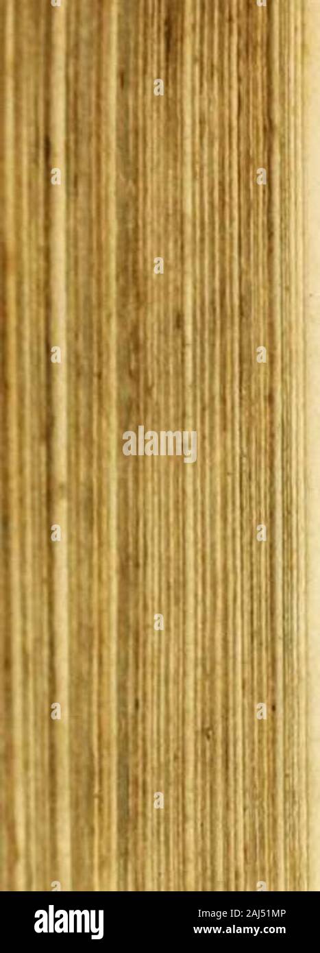 Paradisus Sponsi Et Sponsae In Quo Messis Myrrhae Et Aromatum Ex Instrumentis Ac Mysterijs Passionis Christi Colligenda Commoriamur Ae Vt Et Pancarpium Marianum Septemplici Titulorum Serie Distinctum Vt Dans B Virginis Paradisus Sponsi Et Sponsae In Quo Messis Myrrhae Et Aromatum Ex Instrumentis Ac Mysterijs Passionis Christi Colligenda Commoriamur Ae Vt Et Pancarpium Marianum Septemplici Titulorum Serie Distinctum Vt Dans B Virginis