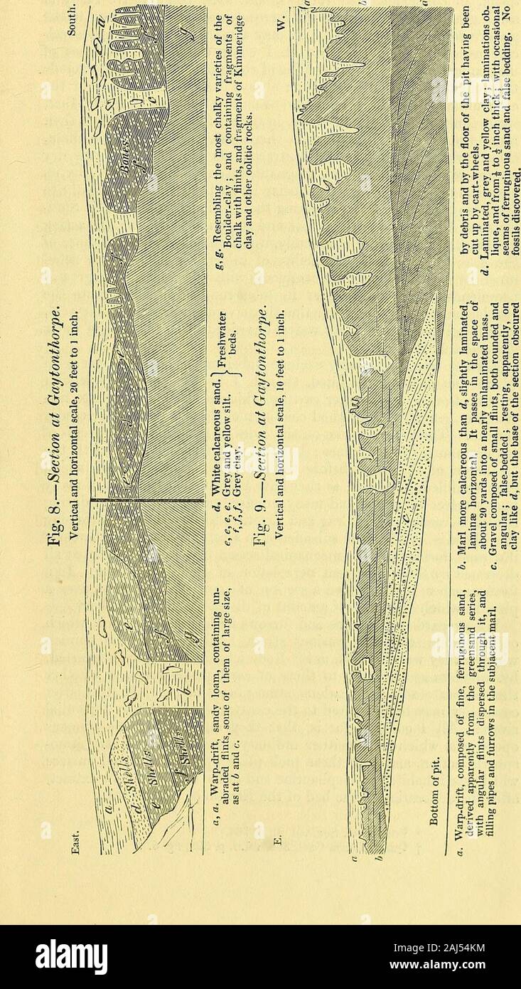 Le journal trimestriel de la Société géologique de Londres . Conclusion.-Dans l'ensemble, puis, je conclus que les canalisations et les fourrures-lignes ont été formés par l'action mécanique de l'eau, avant d'thematter avec lequel ils sont remplis a été déposé ; et l'nearestexisting les analogies que je peux trouver pour eux sont les effets de disjoncteurs sur le rivage, et de l'action de rivières torrentielles. Leur distribution générale peut s'expliquer par le continuedadvance ou recul de la côte, pendant la répétition des crues de andfallings la terre tout au long de l'ère tertiaire. La différence entre l'inmagnitude ces anciennes Banque D'Images